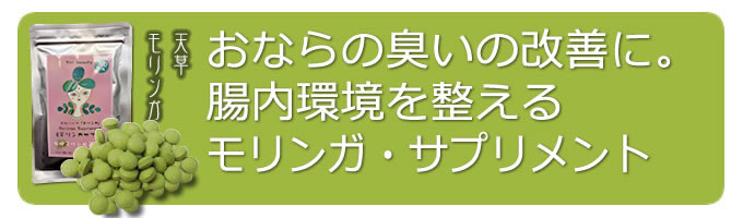 ��Ղ̐A���u�������K�T�v�������g�v�@ 