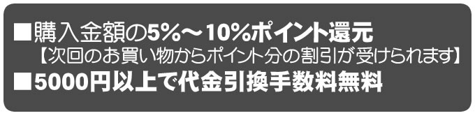 �|�C���g�Ҍ�