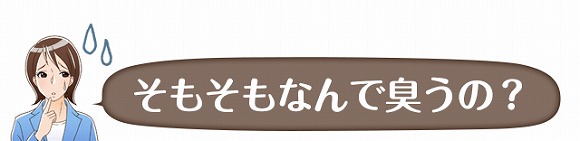 そもそもなんで臭うの?